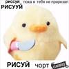 noisy_seagull