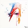 Musicfan