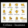 Задавака