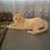 Meory