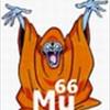 muller66