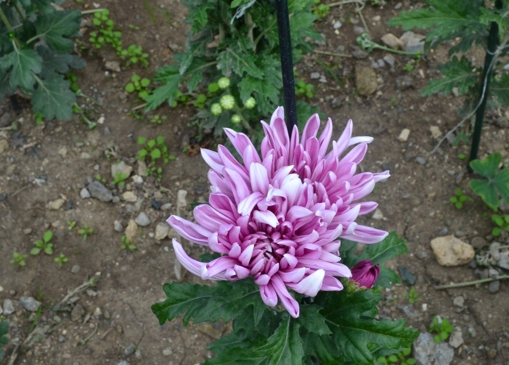 Марина Одинец Марина Одинец