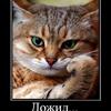 Лолита Самолетова