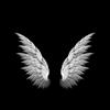 Angel Angel