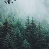 Cold
